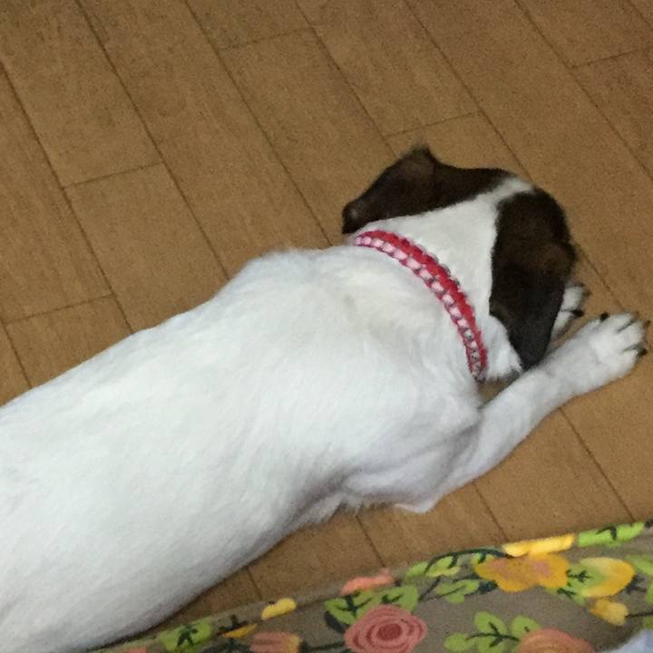 990a3498 9b0f 4941 a2d7 b54377e3b974 1556016149634