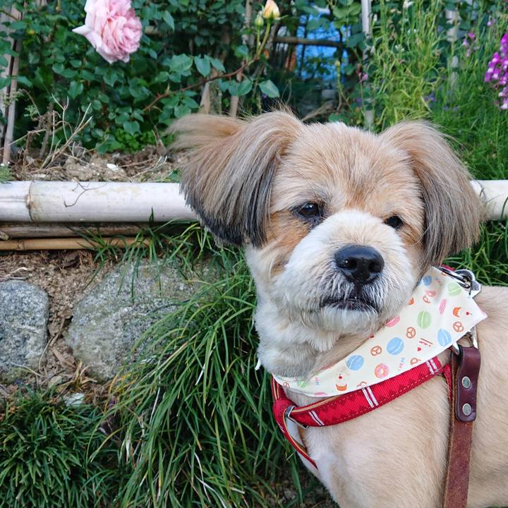 990a404d f1bc 4280 a779 d8c46f4498f1 1588761686533