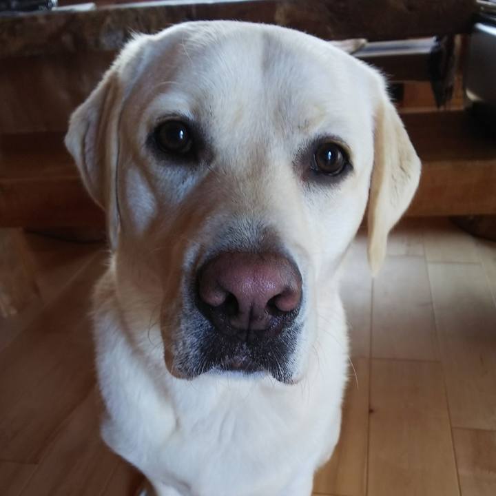 990a5576 e19a 44e9 90c3 b6649419a35f 1532220064151