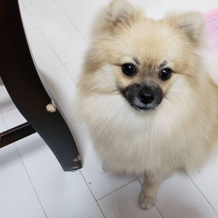 990a5bd0 09b6 480f bb1e 9b2e20efb04c 1626605321734