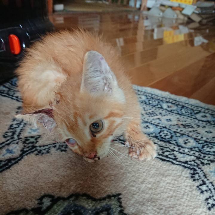 990a5d03 0e19 4d94 80c5 97f94258422e 1627260299492