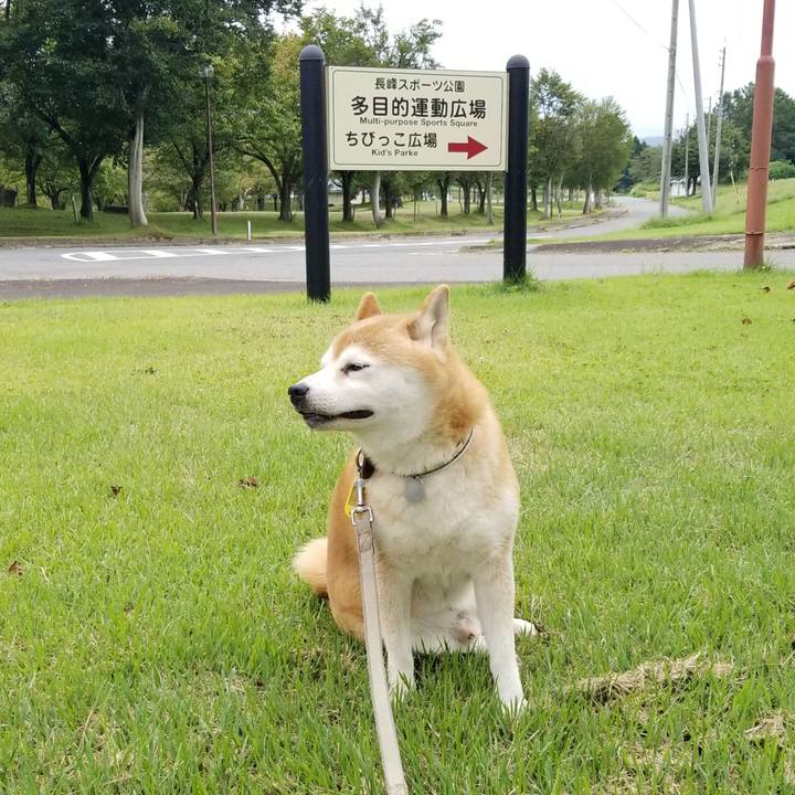 990a6432 2dc5 442b 9788 db5fc51bb57c 1630558777412