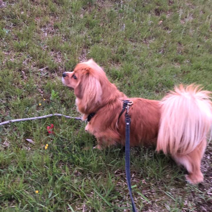 990aefb9 5ad8 4f9a 89fe 9a7a9d7f8b8b 1525344490831