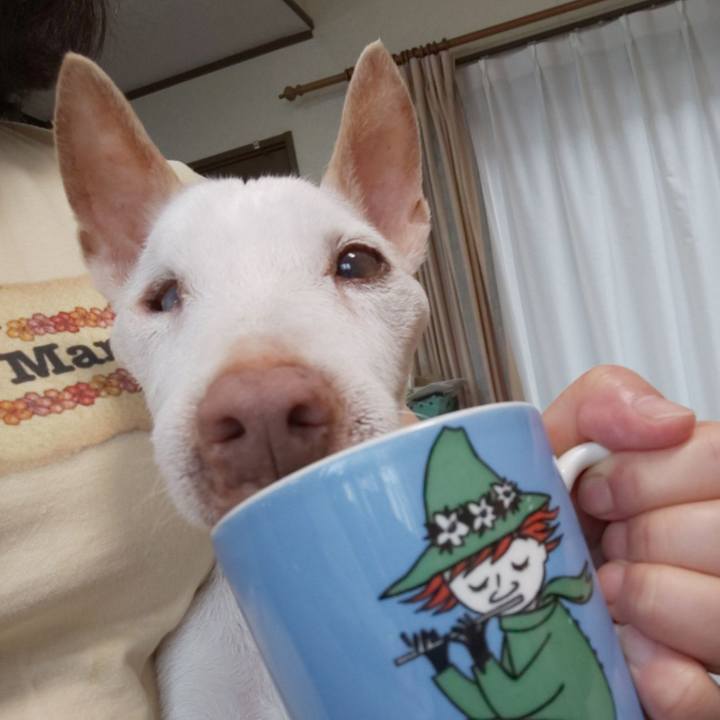 990b0750 04fa 4130 956c 817c3280c9f6 1596759109745