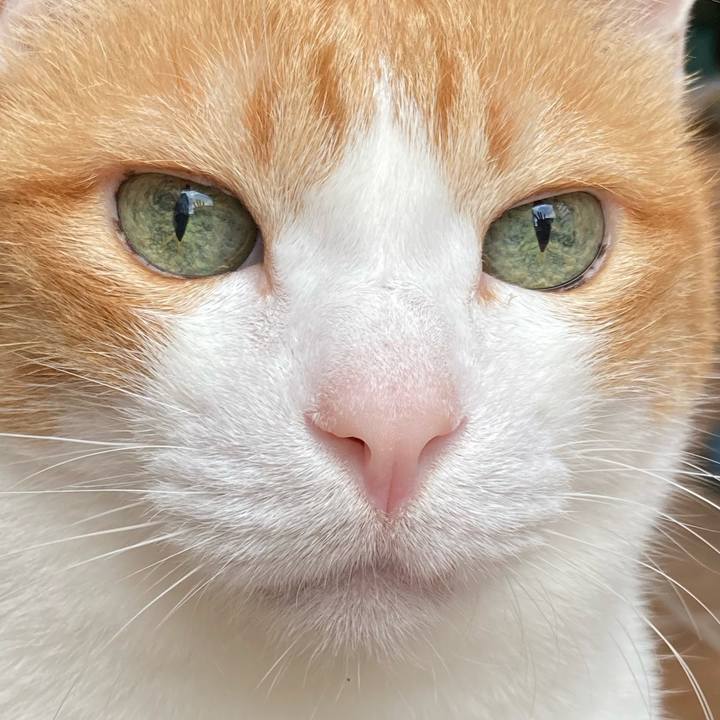 990b176b 1696 4f60 bcce e0f5571bd5ca 1766208976965