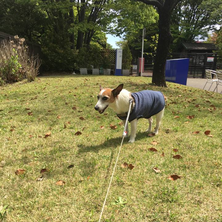 990b9715 530d 4436 b36e 622217175c5a 1556415551837