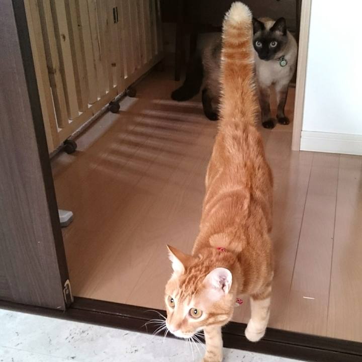 990bb8b2 649a 4ba6 aa91 e7151d9b0f14 1535756391387