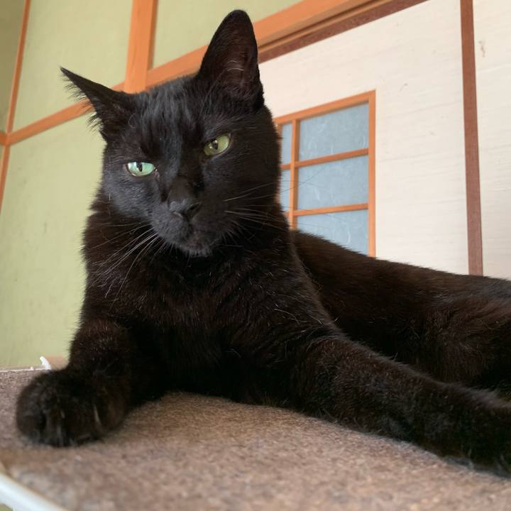 990bc174 dddc 4756 9e2a c7d5d7348c42 1591751172964