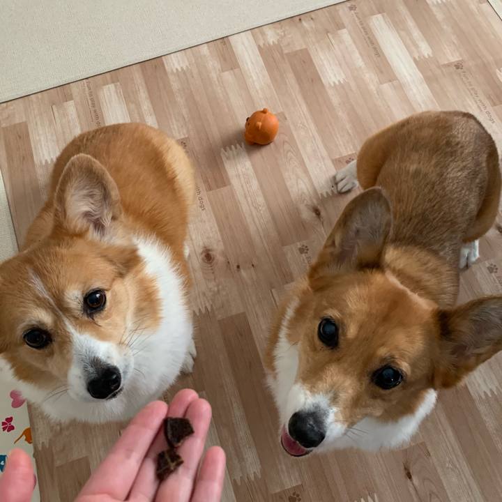 990bda42 bc5d 4502 bc78 6553705e485a 1695526372085