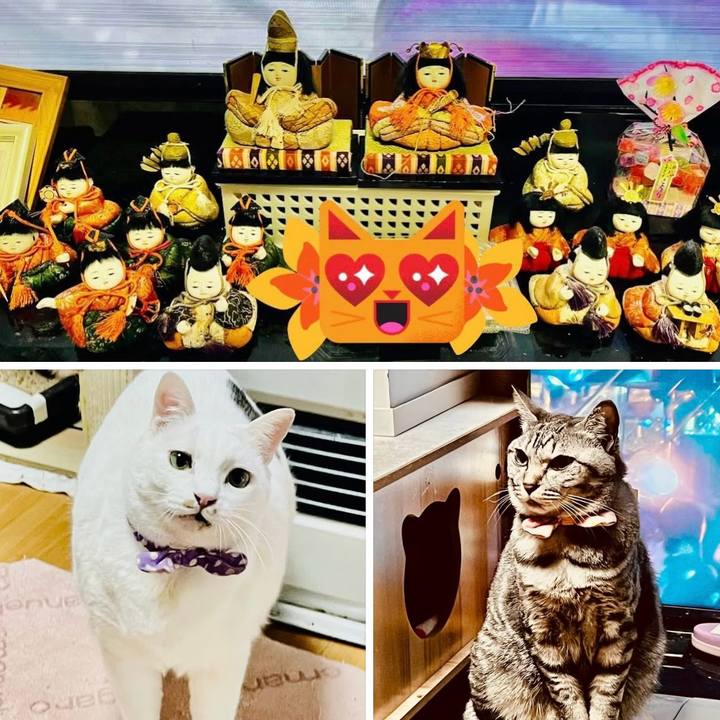 990bddbf 9aba 48ac 937b 7785589152e5 1772496379981