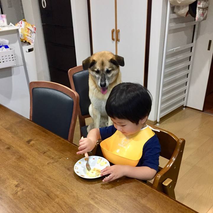 990beb73 5368 4a19 b205 f860639526ea 1528464092781