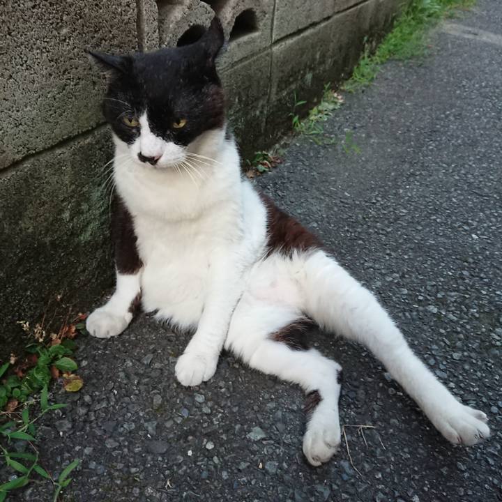 990bfccc 1f00 4b38 bb26 c4ce545bd8ac 1690728630094