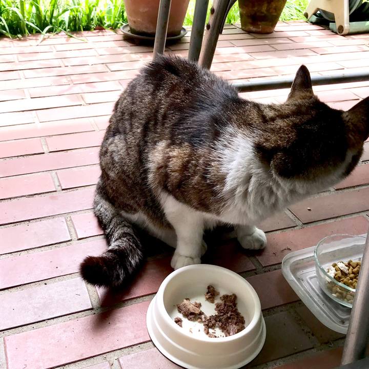 990c05ac f3d5 4c82 8458 34905c368990 1526627181066