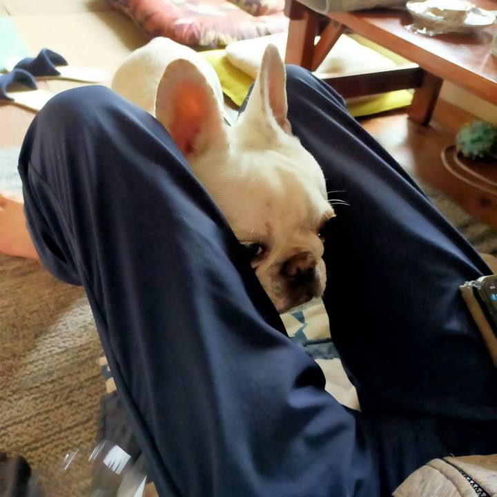 990c19ad 15fb 4c23 8435 40874192c7e1 1651008051805