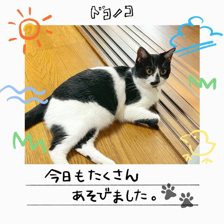 990c32d6 4f39 4226 864f 3c24ad96f3d4 1755402476760