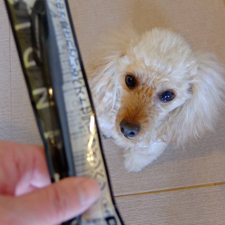 990c5e34 f5e7 4768 b2c2 8373274bb896 1645948526373