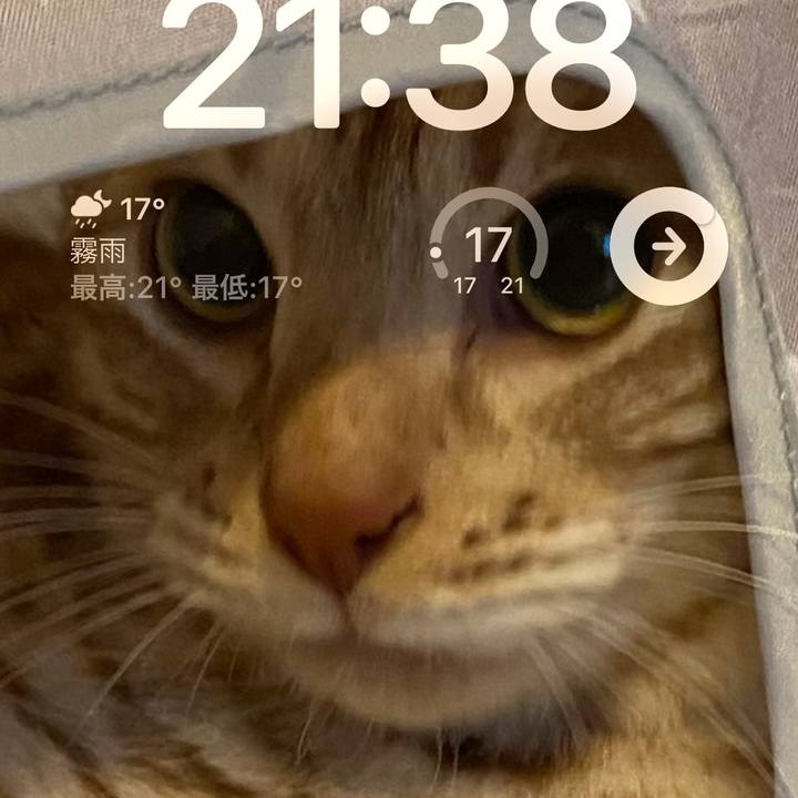 990c6c75 0ce6 412c bc5e d1dfed60f5a2 1680871217266