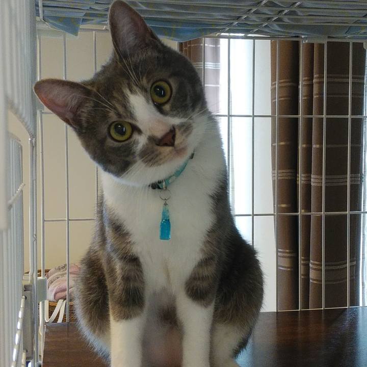 990c6cb5 c0b7 44f0 be30 79f7e2721098 1588551180957