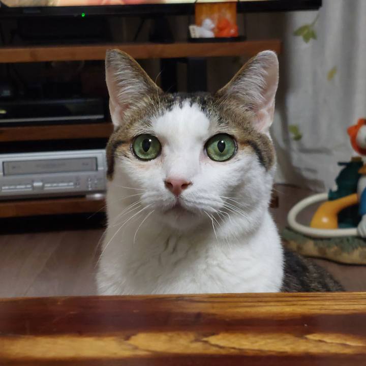 990c869b 5d8a 4813 93a1 62df4a4aa8f2 1771410472804