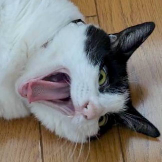 990c93a1 44a5 4c61 9729 93809f4e6a40 1724552312993