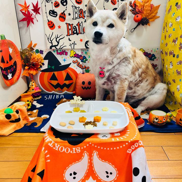 990ca1fd 0e96 4d9a a608 07b63c341605 1758605890545