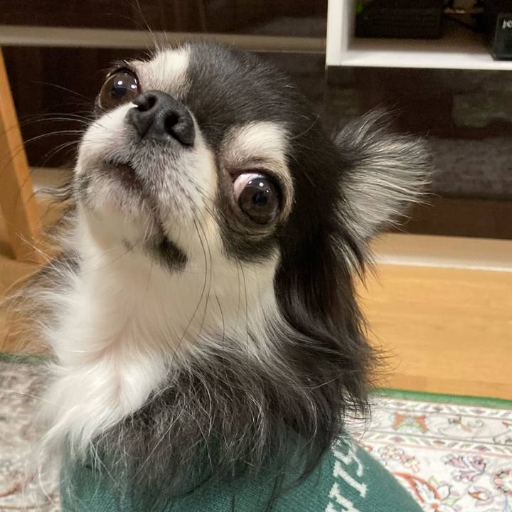 990cbb98 cef2 4796 9097 797fd9eb94a4 1669210800232