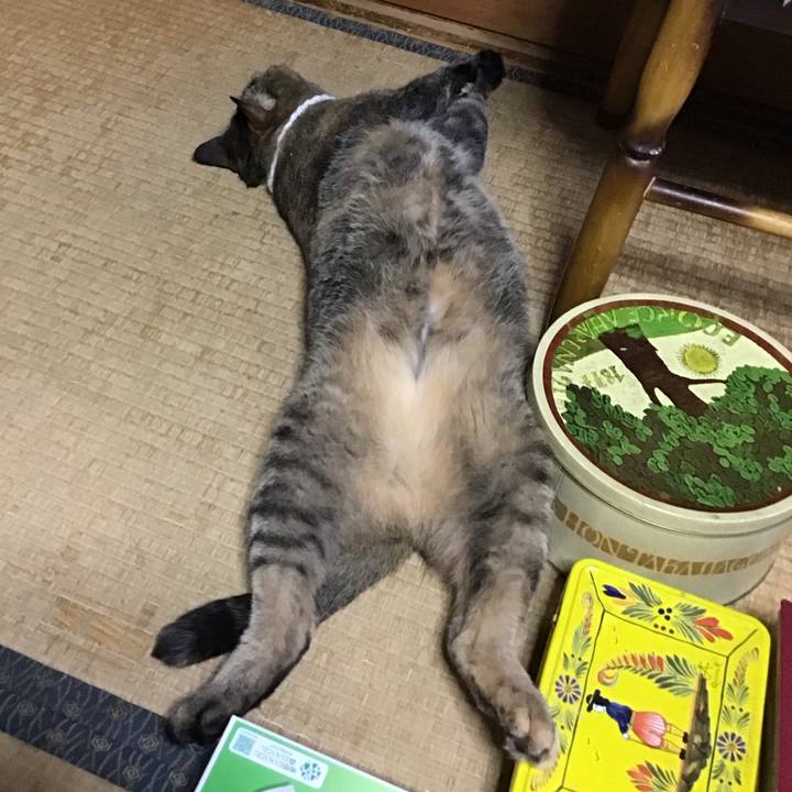 990cfe74 20df 46c3 9dde 78ec38ed2793 1754209376359