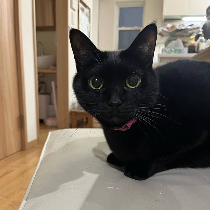 990d0100 8294 408b a192 2080d1374932 1671714251135