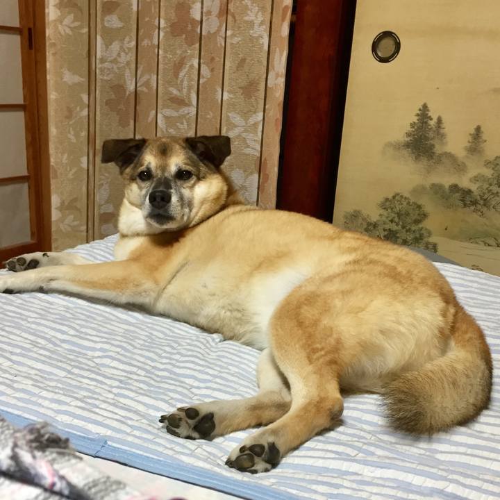 990d062e a306 4b79 aea1 4936428ca86d 1567075641397