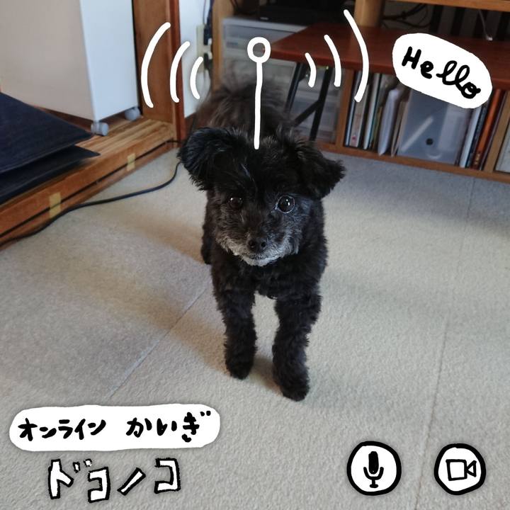 990d319e 99cf 48f4 b65b 58362f44f8aa 1590704767069