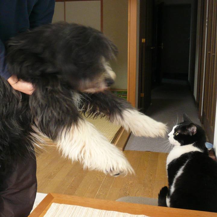 990d47f9 3d31 4b6f a155 90b504290de4 1554961014376