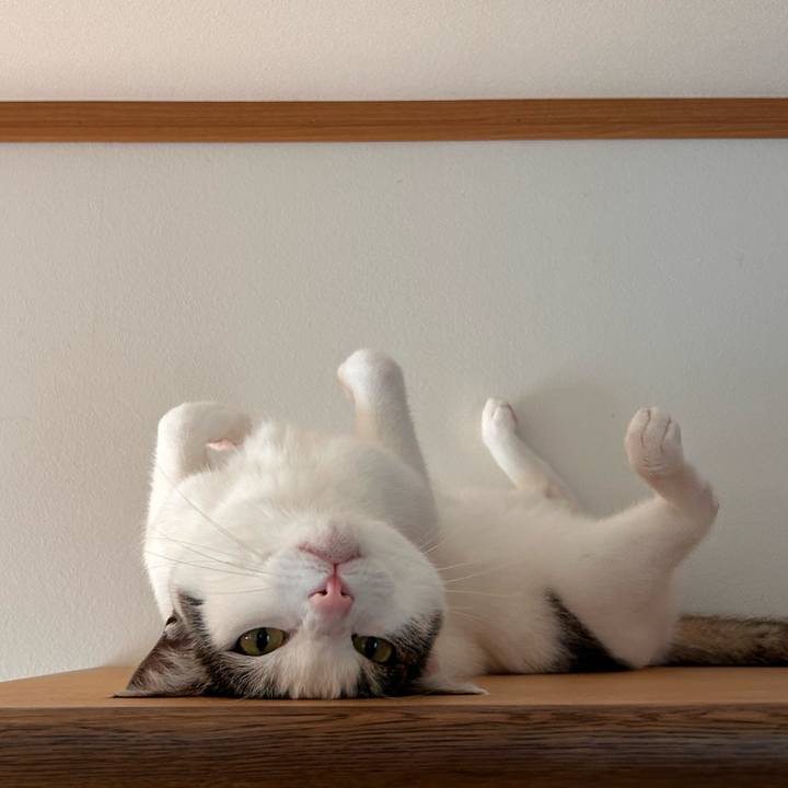 990d870d 28ca 44f9 8e7f 78eb573f8472 1763034617634