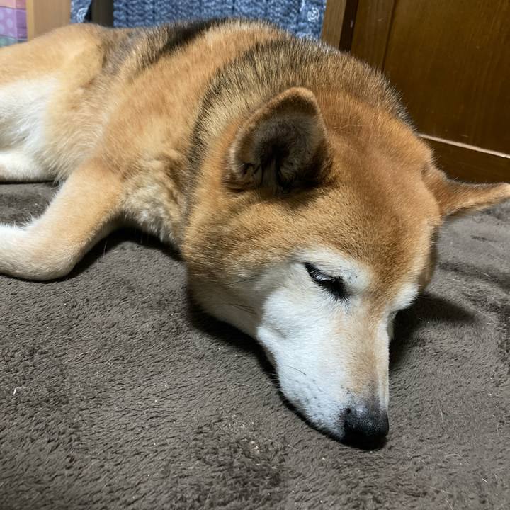 990de0aa 2389 47be 8c28 8a2d098a36a9 1714914136512