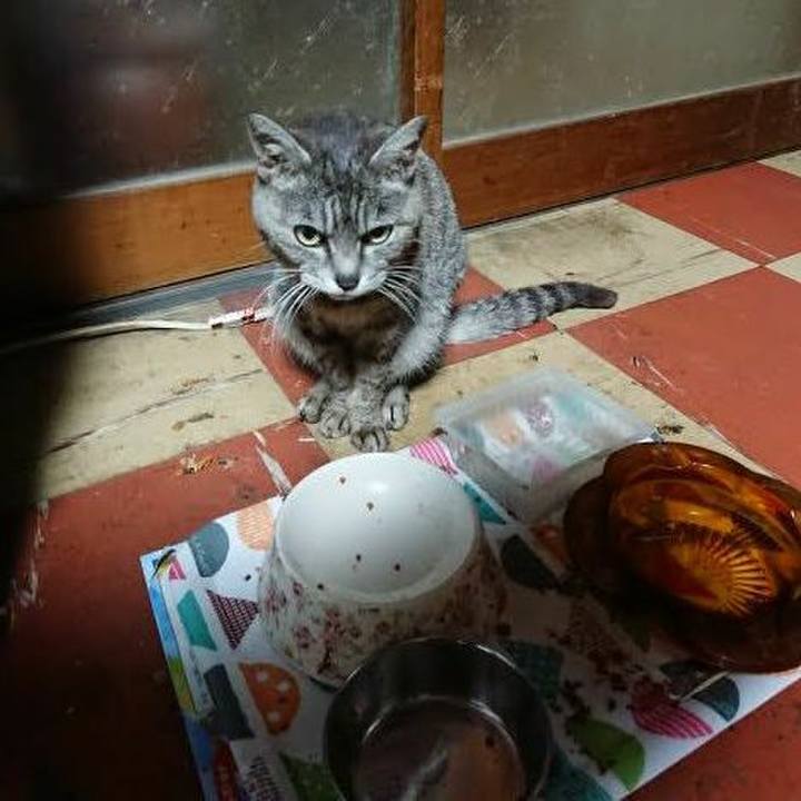 990e0d4a 7044 44bd b017 43fea3d1b007 1589142047227