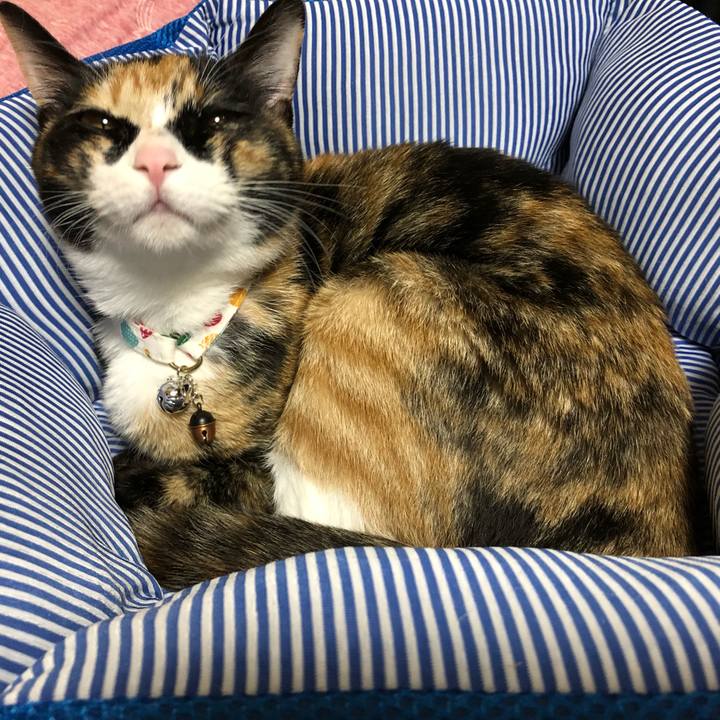 990e150f 894d 4698 9a6d b3a462350b7d 1562587056045