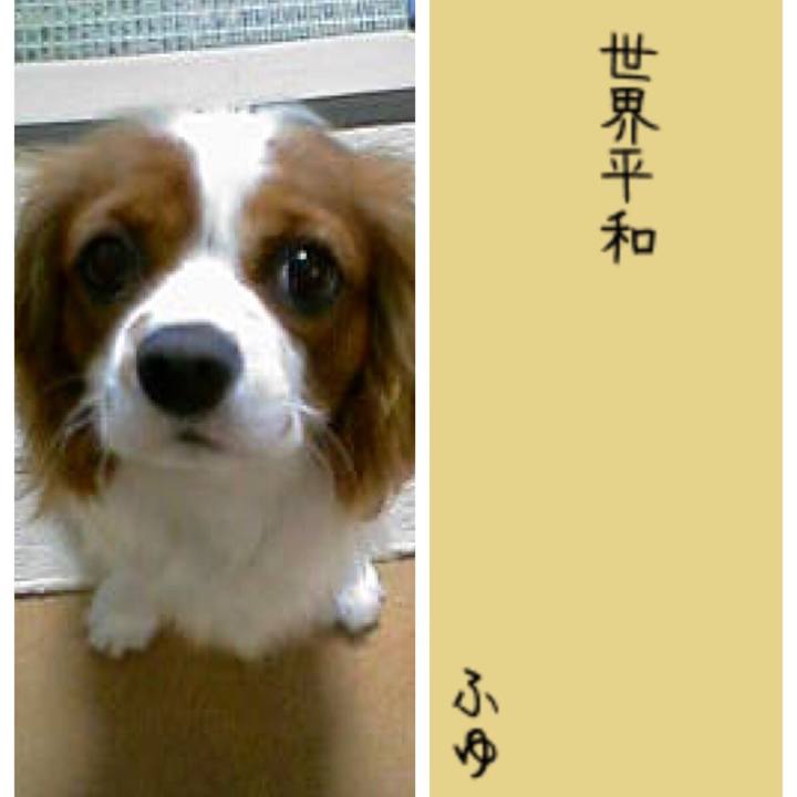 990e2f00 7e47 4137 8330 ee262059b511 1562500107764