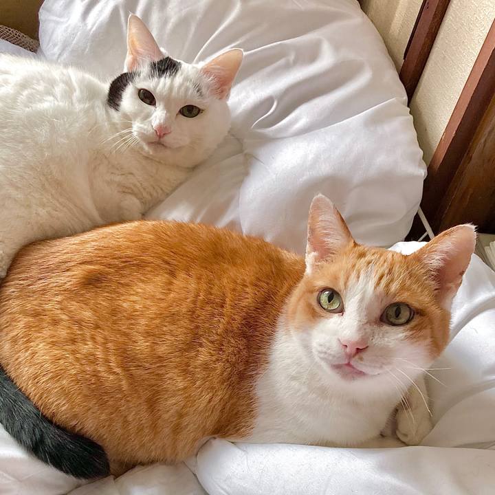 990e357e 12b6 4b2d 8b07 edf4f1f27032 1698916818544