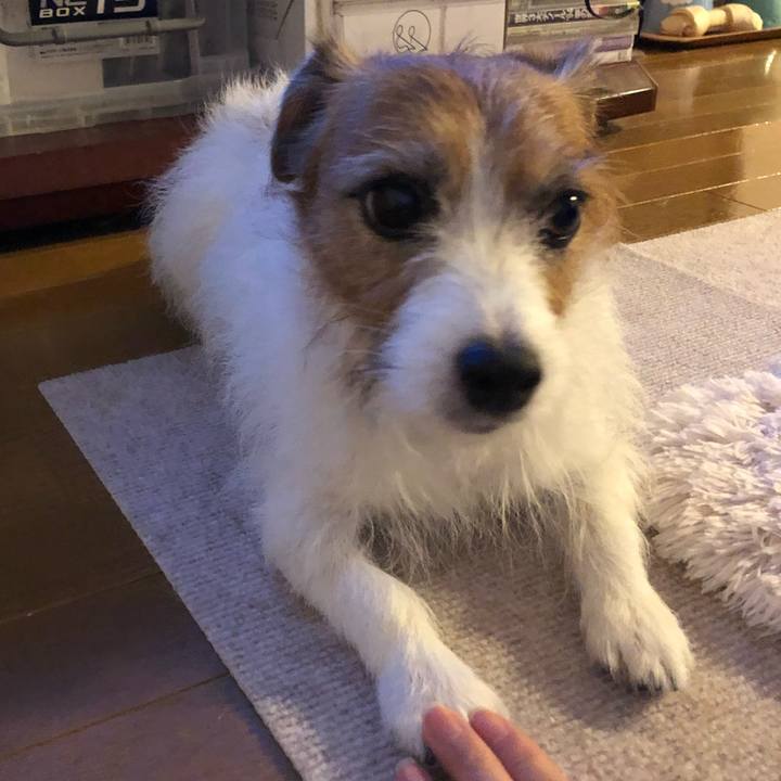 990e6fe2 2a81 4f9e abc7 c976da99ac9b 1630757956275