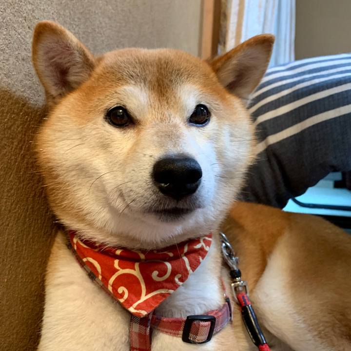 990e75ac c27a 4042 94a4 9d753d133b76 1570706467169