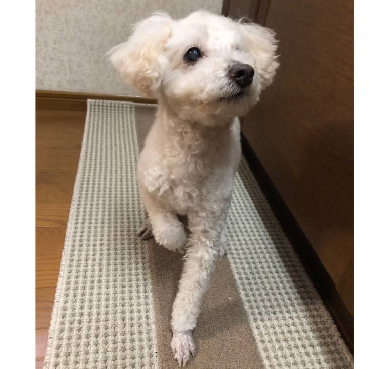 990e7876 4e68 4c97 9077 29afa5687c5a 1548716498234