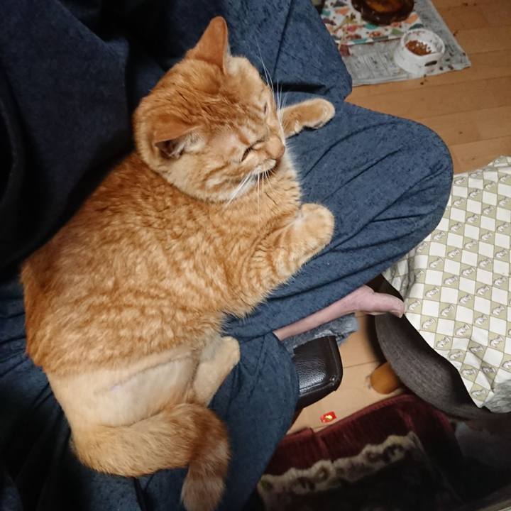 990e93eb 1120 41a7 b346 c4efde451a07 1655209703034