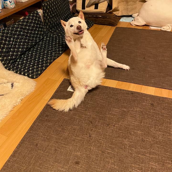 990ed6c2 3083 4276 9b76 820824f14583 1664125721373