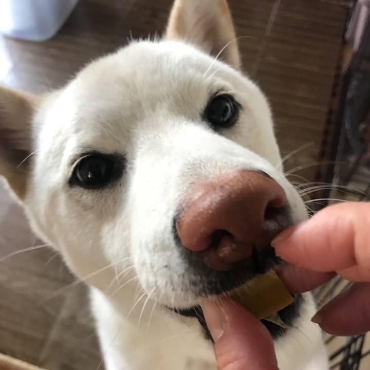 990efc7a 023e 400d 9185 08953f578bc4 1518102383327