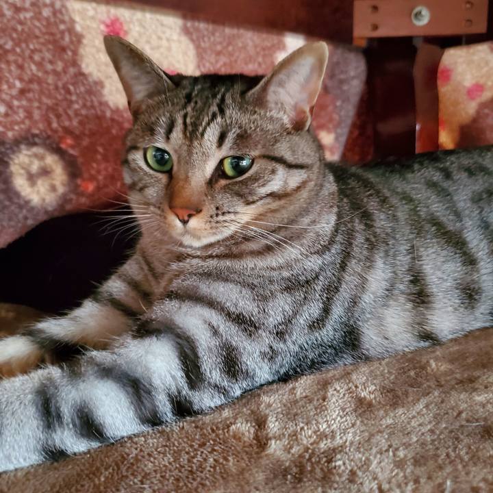 990f30cd 84ee 4c80 88fa b25320c68dbd 1713518701394