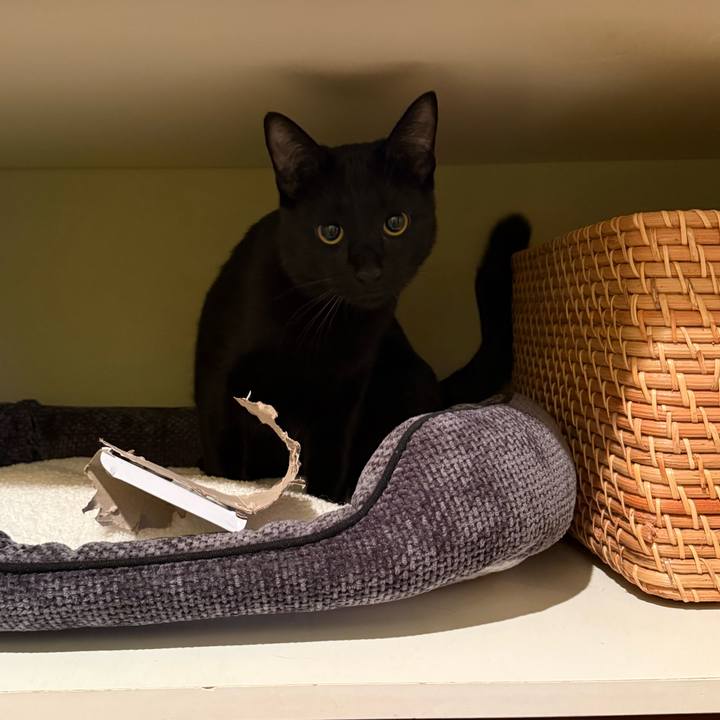 990f5ec4 3ed3 4522 a29d 854e765b6767 1764889625018