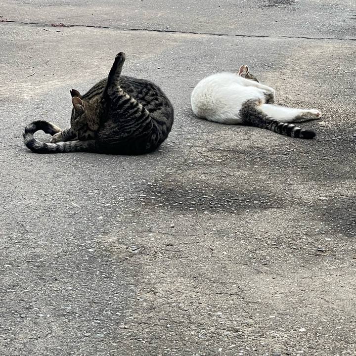 990f70dd 2981 4ec4 b82f 66692d4fb133 1650426196713