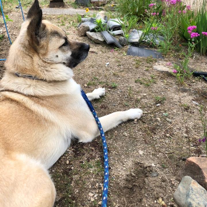 990f756d aa33 4b00 8adc b401cf446152 1558352014183