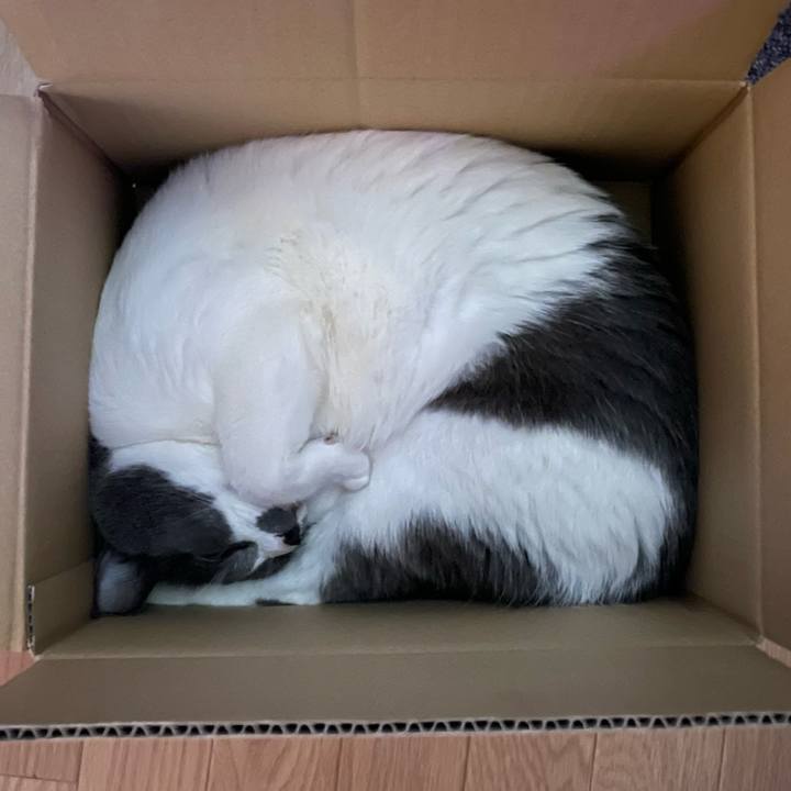 990f7589 c691 45a4 a41a 99d4f4d10902 1660539699573