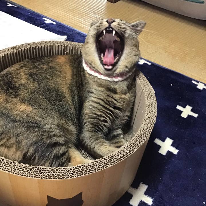 990f7dc1 e732 4226 a907 ab319317bdab 1713252113541