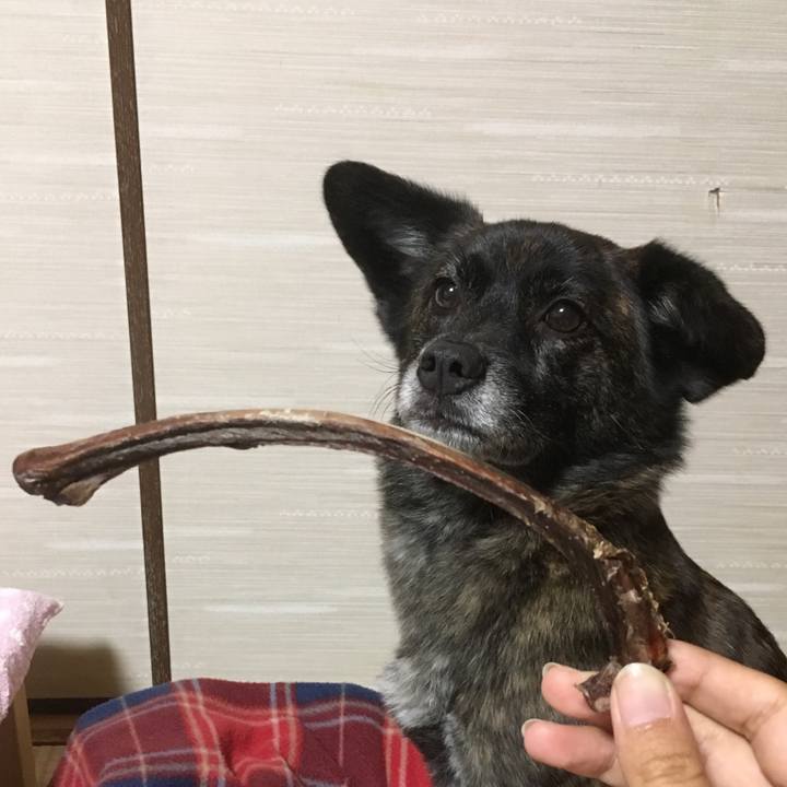 990f84a4 ca1d 4969 ad38 2ab9716fdaf0 1526559318425